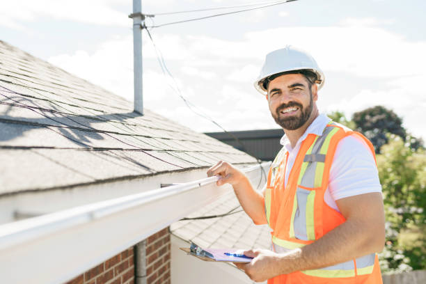 Best Chimney Flashing Repair  in Stanton, MI