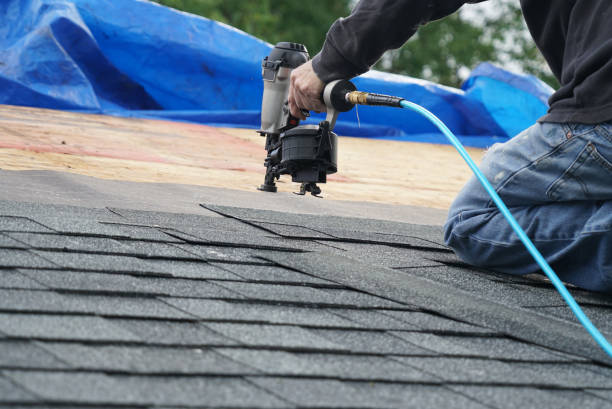 Best Sheet Metal Roofing  in Stanton, MI