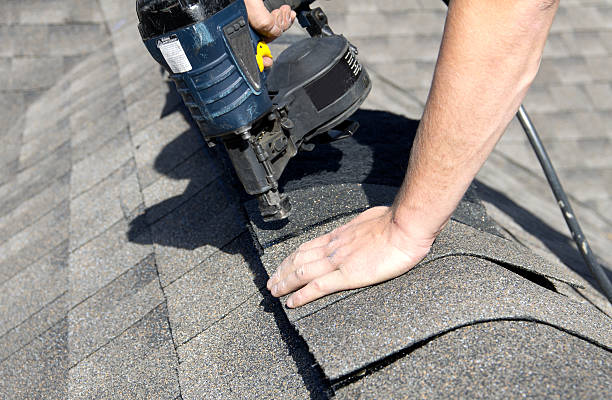 Best Roof Maintenance and Cleaning  in Stanton, MI