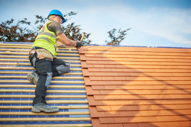 Best Asphalt Shingle Roofing  in Stanton, MI