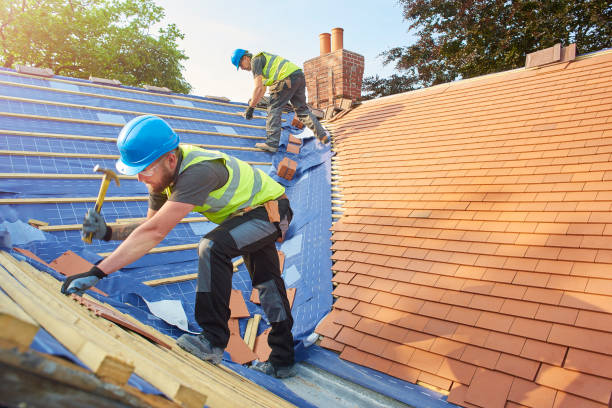 Best Gutter Installation and Repair  in Stanton, MI
