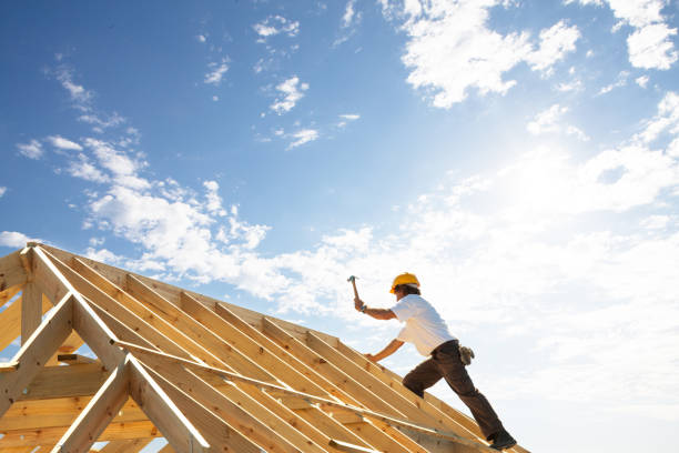 Best Rubber Roofing (EPDM, TPO)  in Stanton, MI